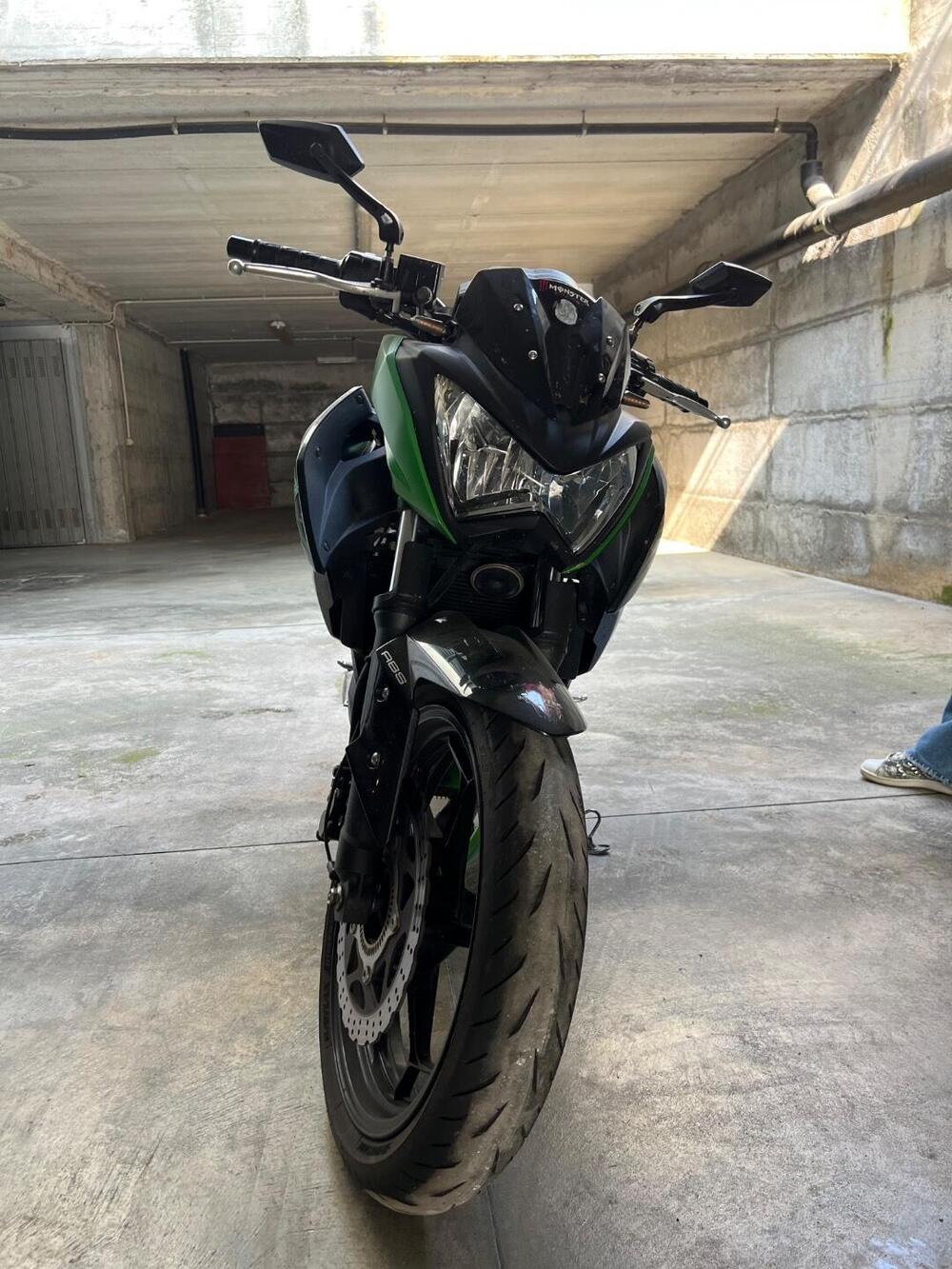 Kawasaki Z 300 ABS (2015 - 16)