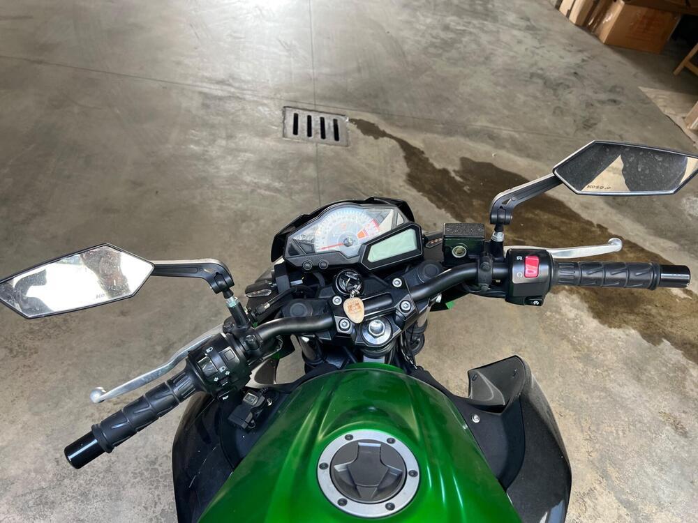 Kawasaki Z 300 ABS (2015 - 16) (2)