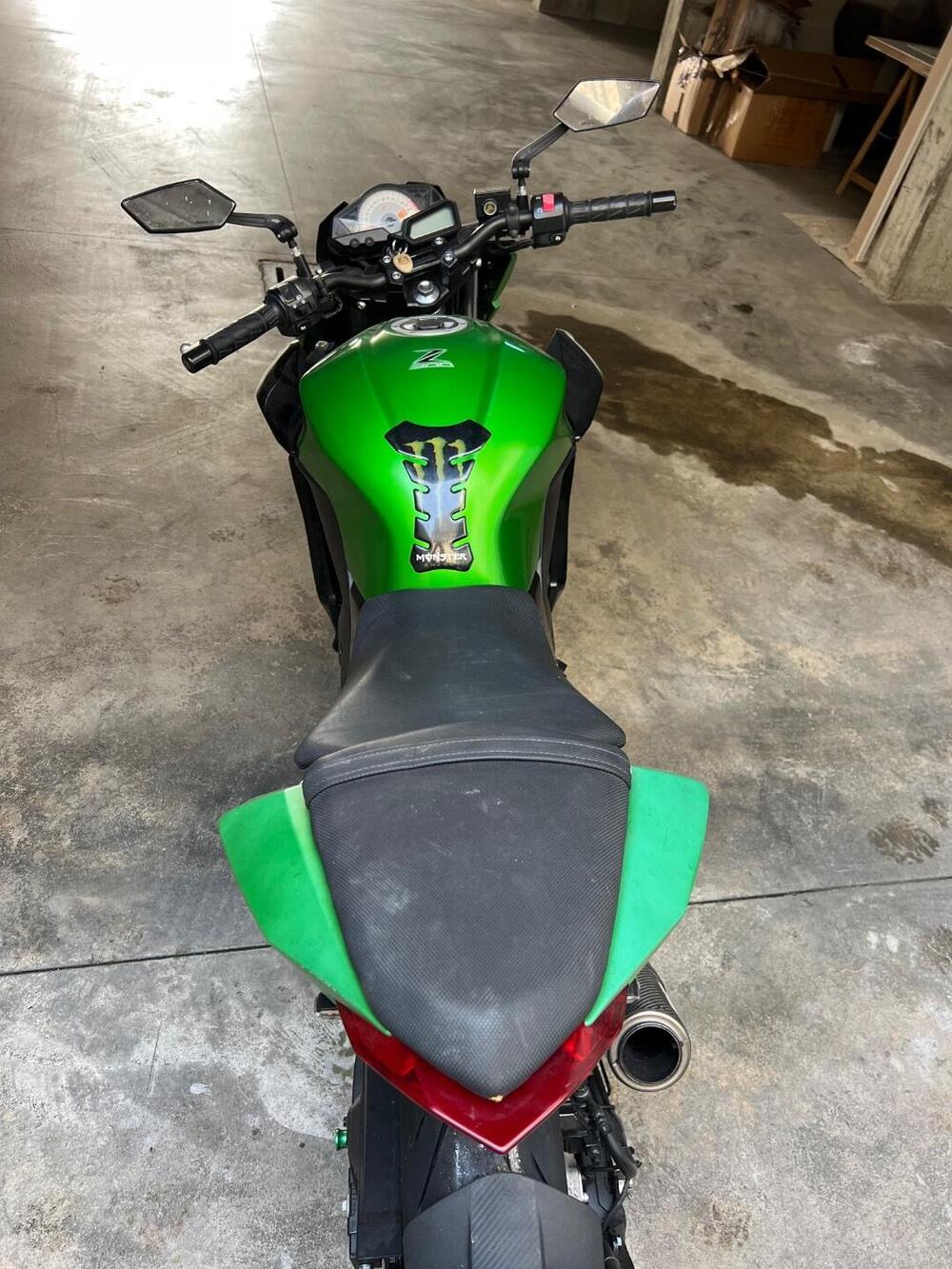 Kawasaki Z 300 ABS (2015 - 16) (3)