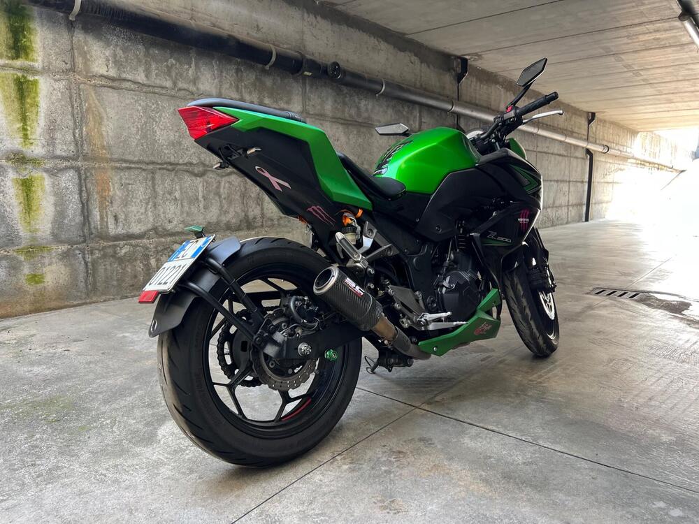 Kawasaki Z 300 ABS (2015 - 16) (5)