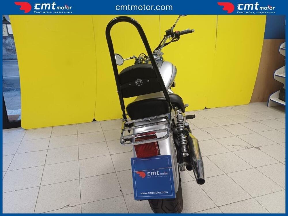 Suzuki VL 250 Intruder (4)