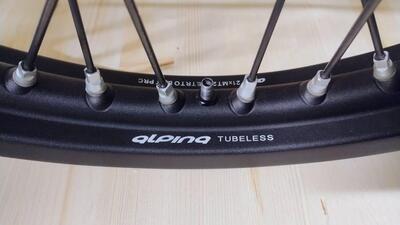 Cerchi Alpina Tubeless Africa Twin 1000 e 1100 Alpina Raggi