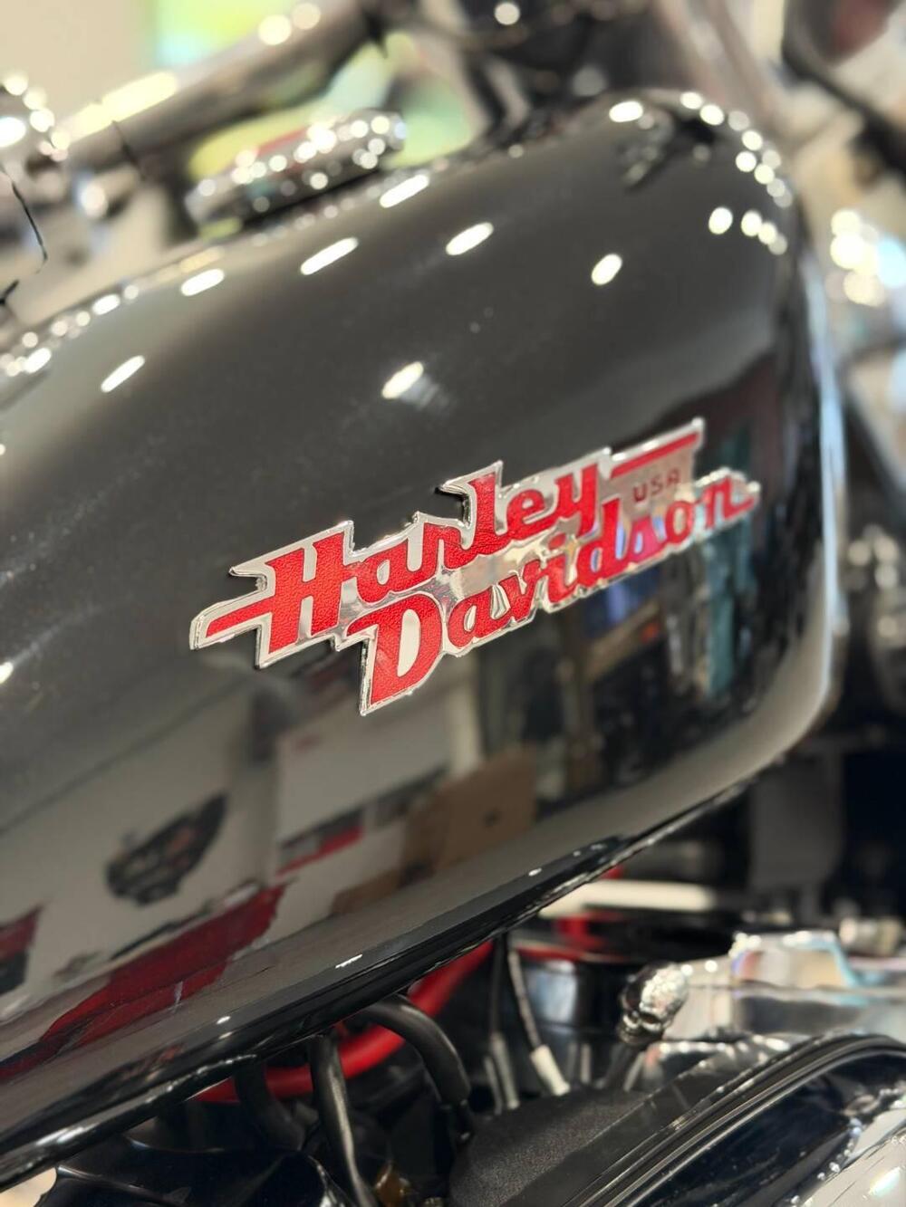 Harley-Davidson 1200 Custom (1995 - 00) - XL 1200C (14)