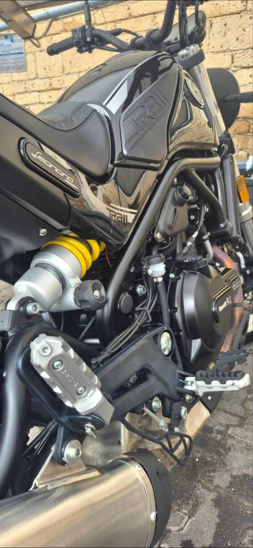 Benelli Leoncino 500 Trail (2021 - 26) (4)