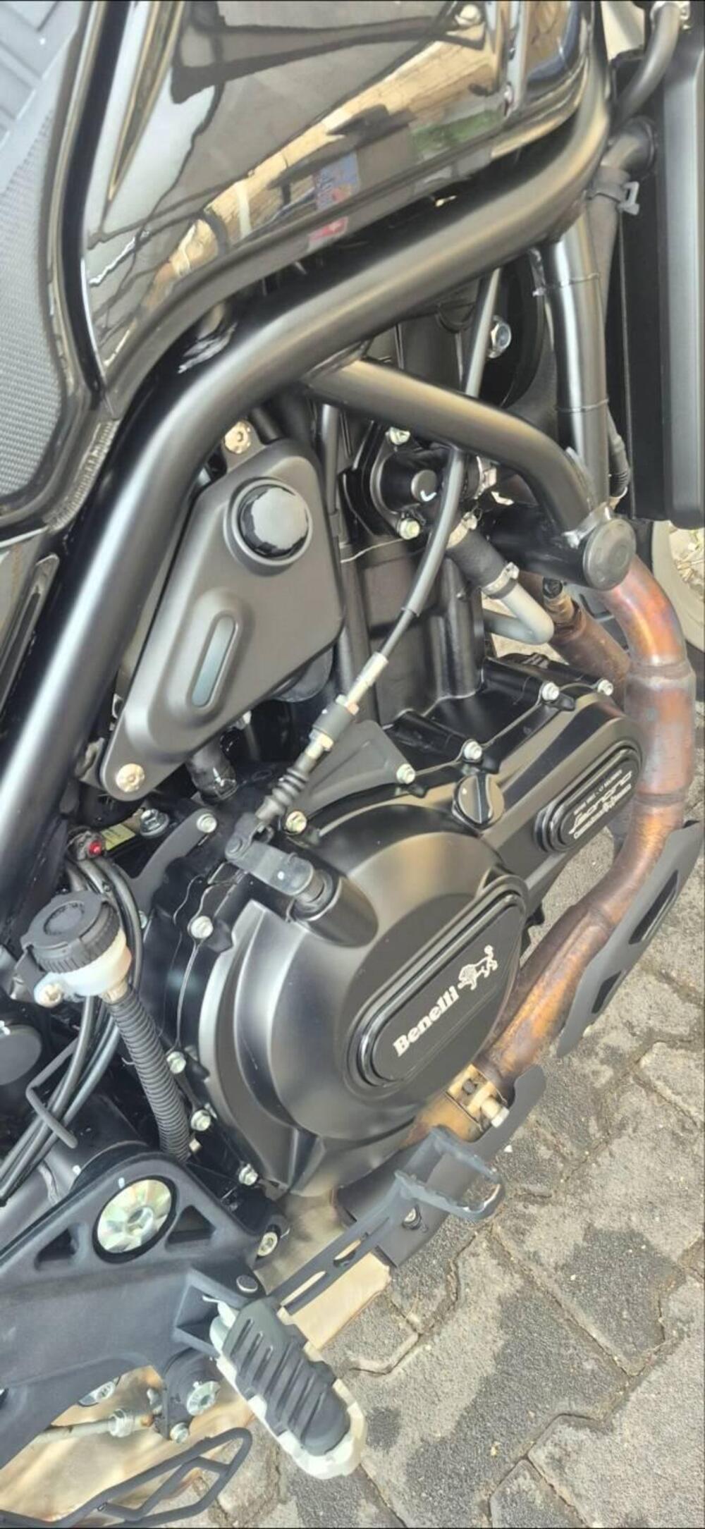 Benelli Leoncino 500 Trail (2021 - 26) (6)