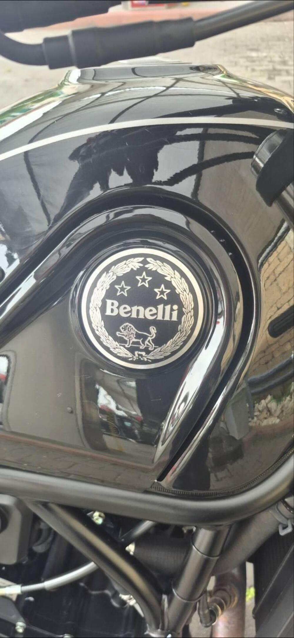 Benelli Leoncino 500 Trail (2021 - 26) (14)
