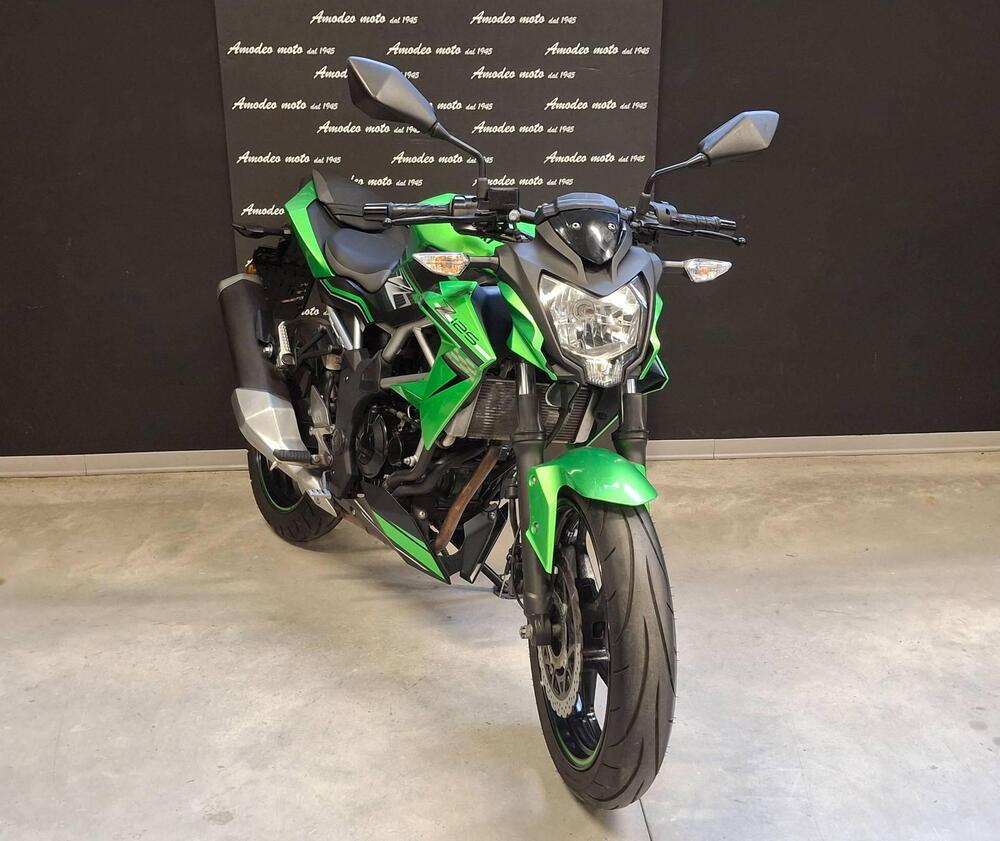 Kawasaki Z 125 (2019 - 20) (2)
