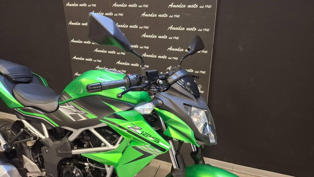 Kawasaki Z 125 (2019 - 20) (4)