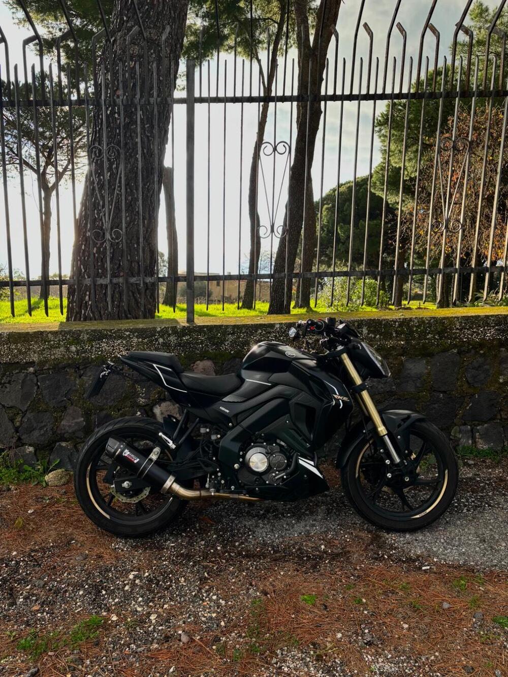 Keeway Motor RKF 125 (2021 - 24) (4)