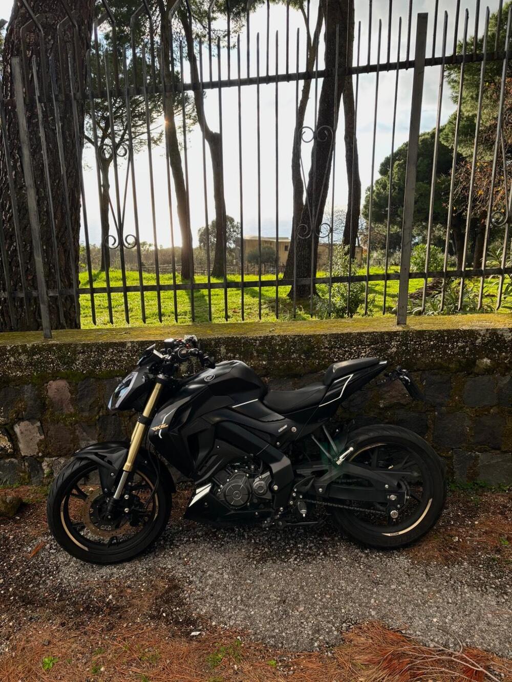 Keeway Motor RKF 125 (2021 - 24) (5)