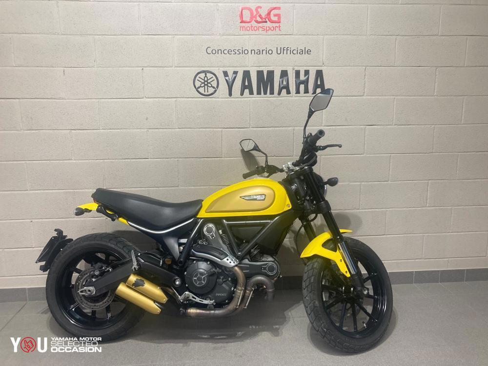 Ducati Scrambler 800 Icon (2015 - 16)