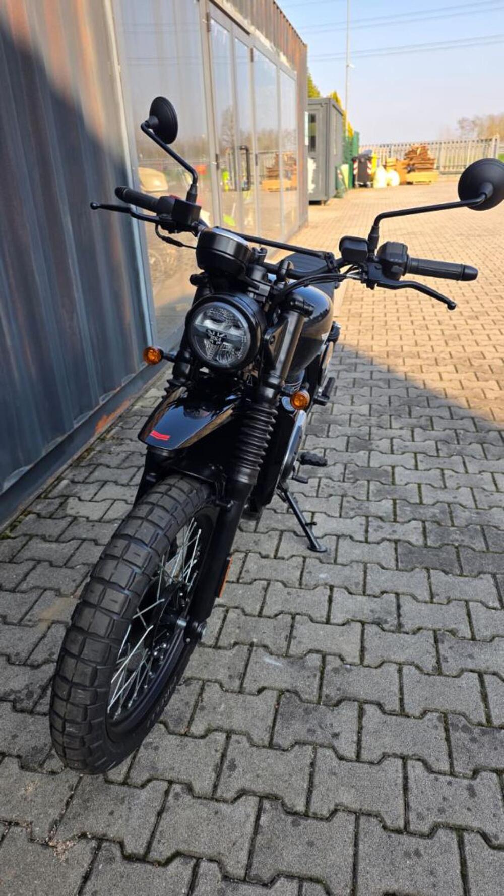 Bsa Scrambler 650 (2025 - 26) (6)