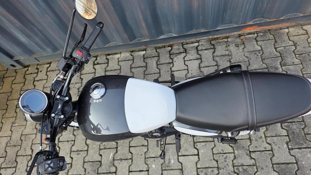 Bsa Bantam 350 (2025 - 26) (5)