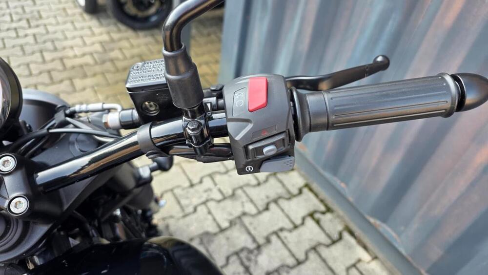 Bsa Bantam 350 (2025 - 26) (11)