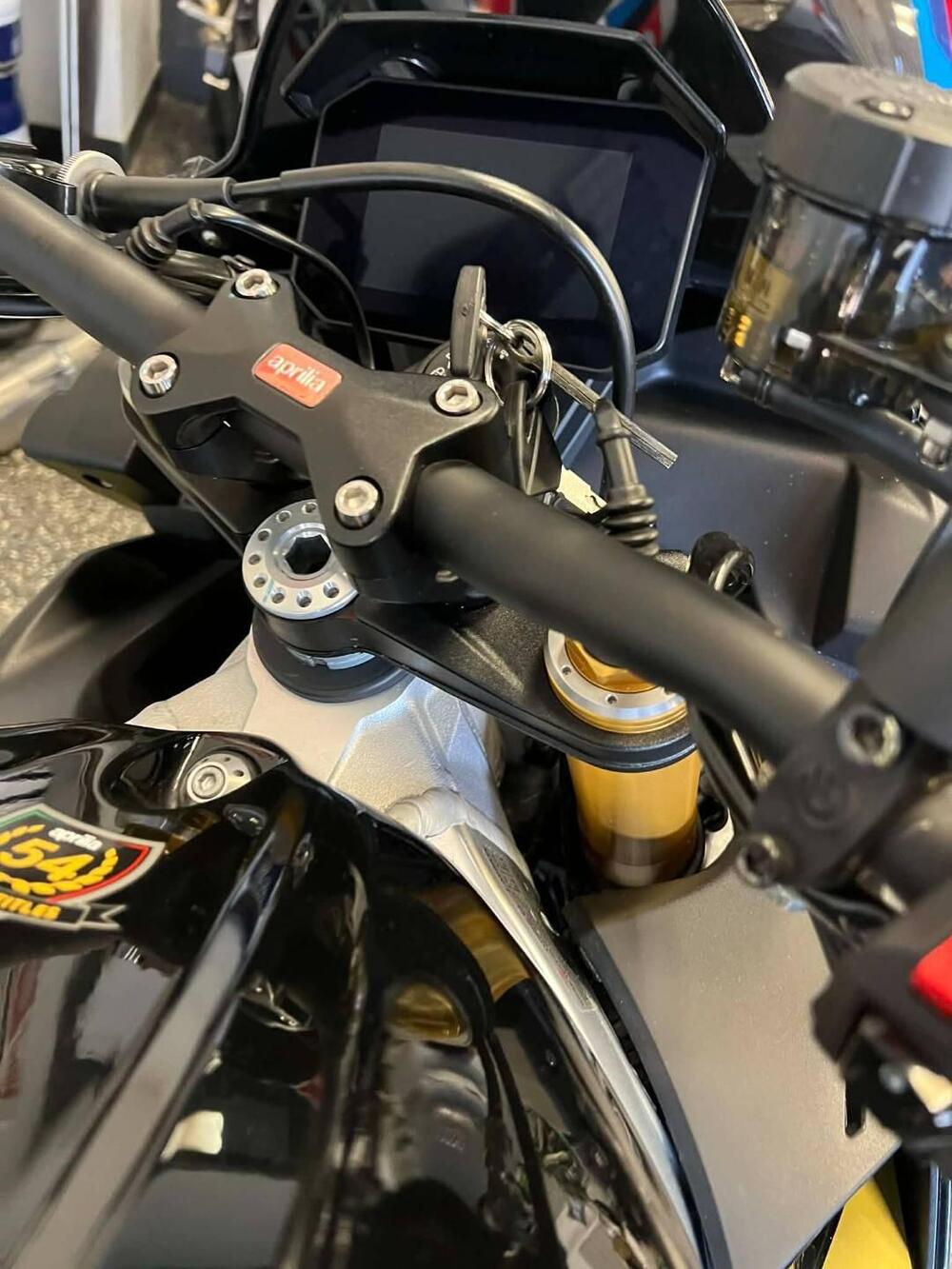 Aprilia Tuono V4 Factory (2021 - 24) (14)