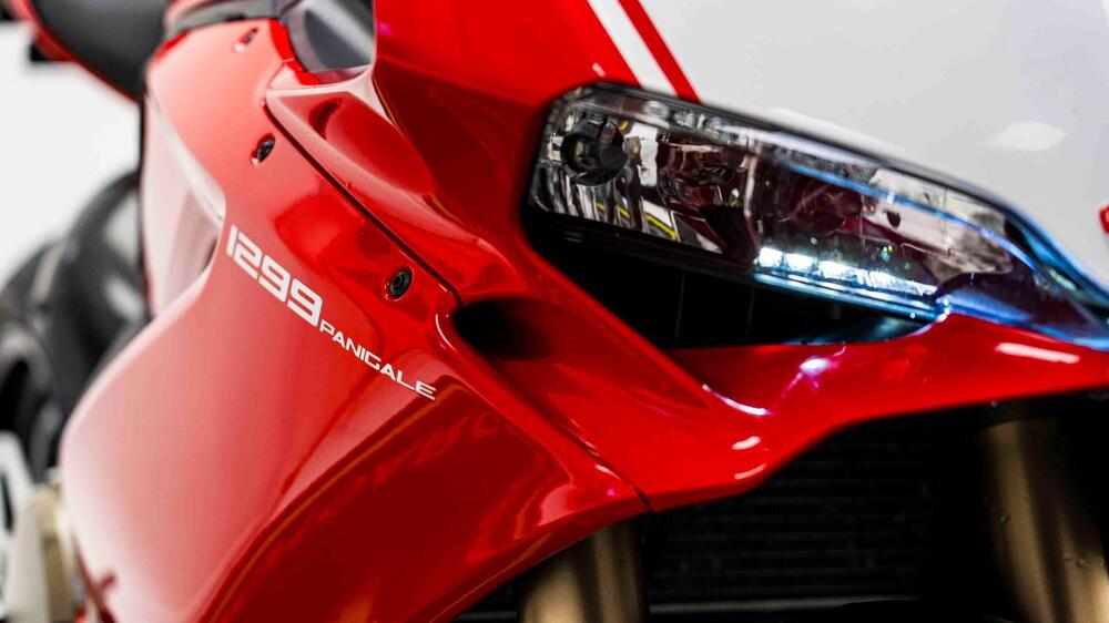 Ducati 1299 Panigale (2015 - 17) (18)
