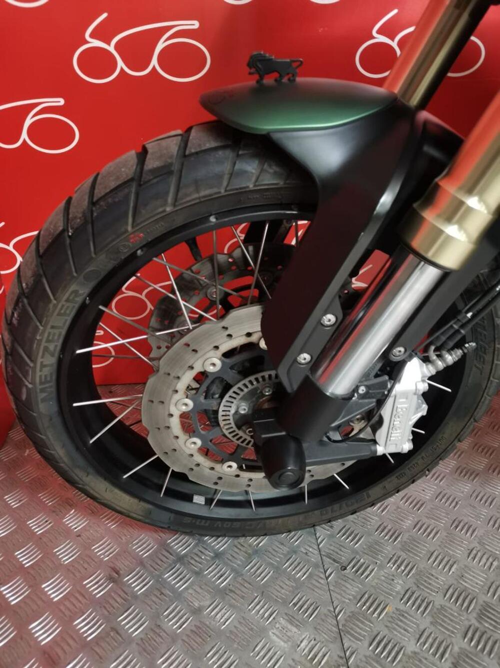 Benelli Leoncino 800 Trail (2022 - 26) (6)