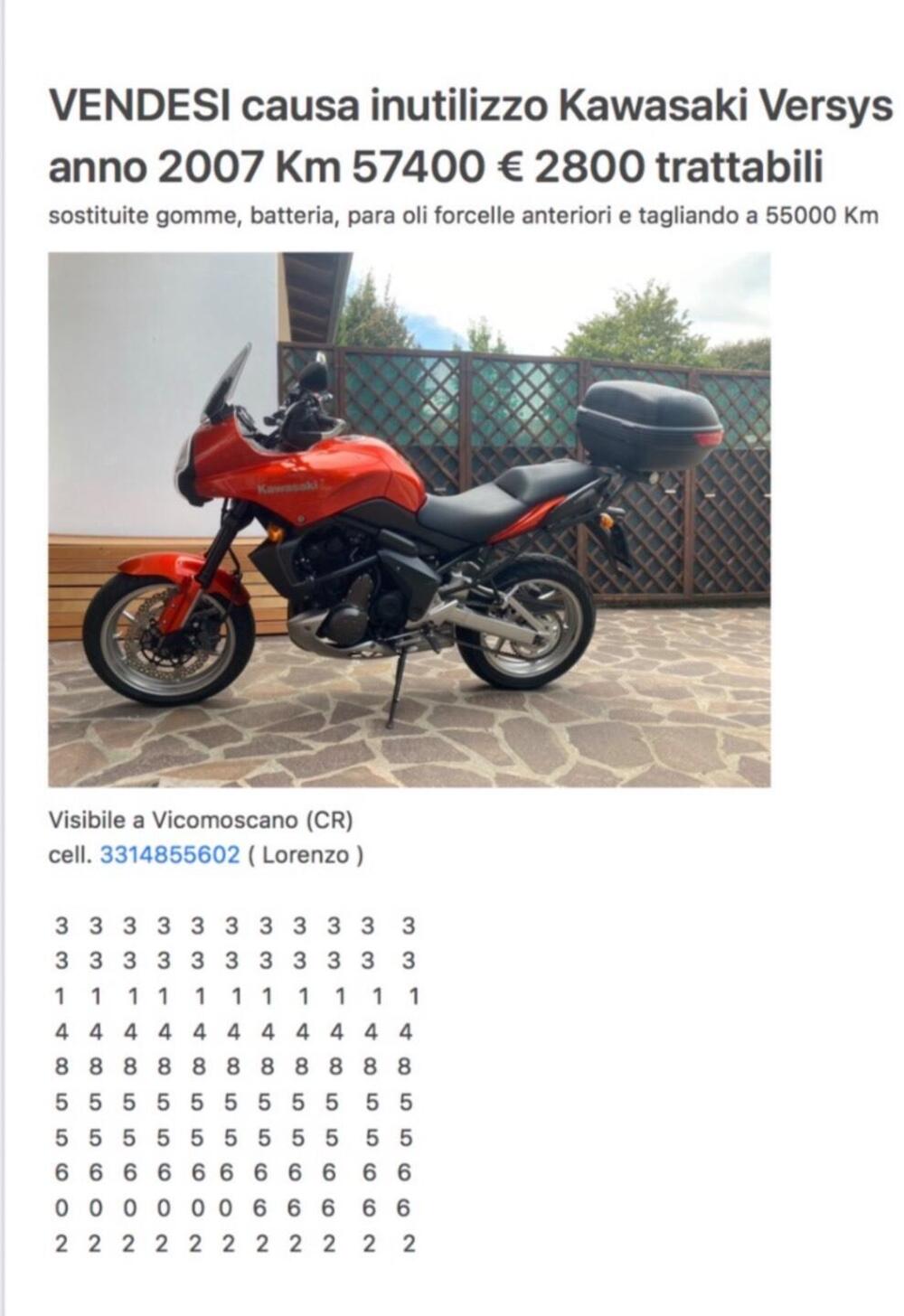 Kawasaki Versys 650 (2006 - 09) (2)