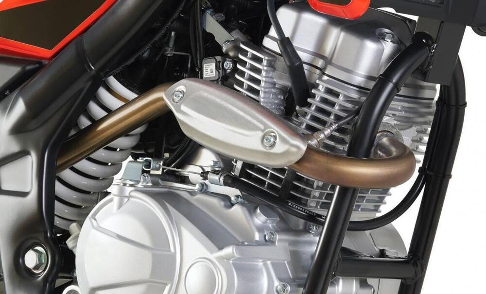 Rieju Tango 125I (2020 - 26) (7)