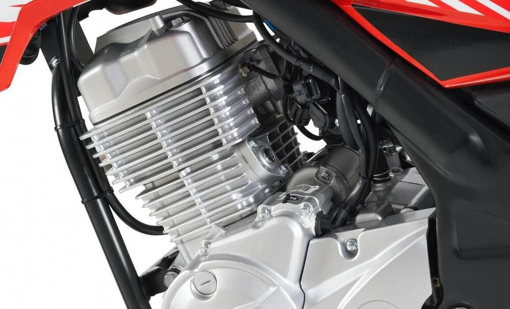 Rieju Tango 125I (2020 - 26) (8)