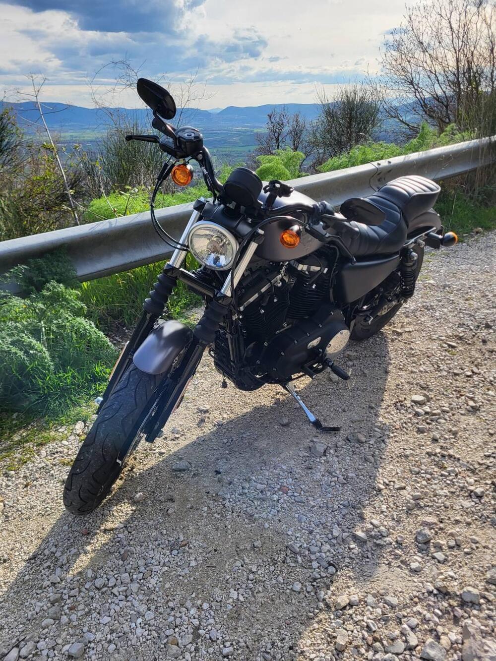 Harley-Davidson 883 Iron (2014 - 16) - XL 883N (2)