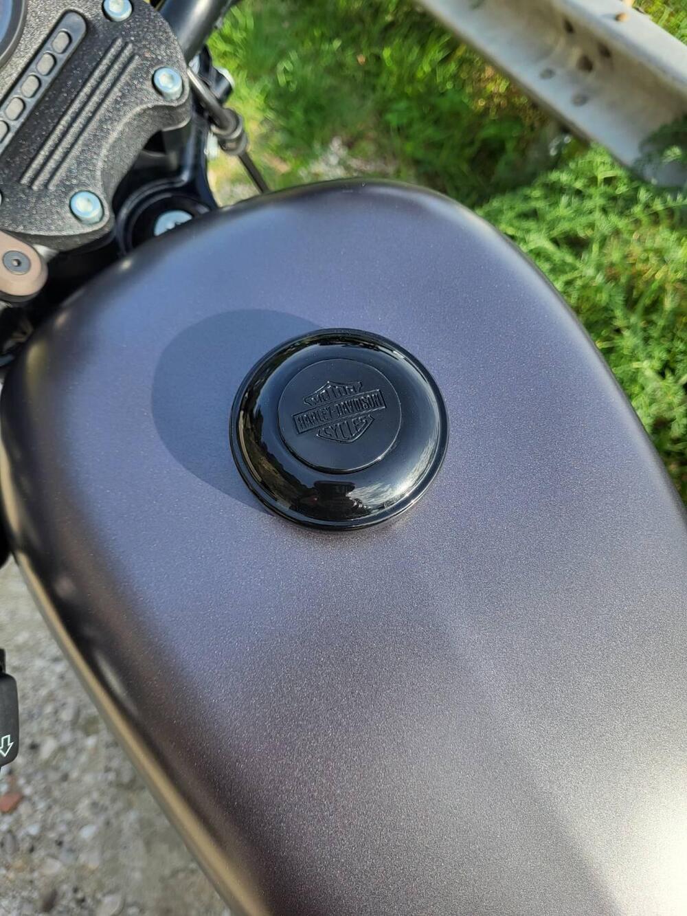 Harley-Davidson 883 Iron (2014 - 16) - XL 883N (4)