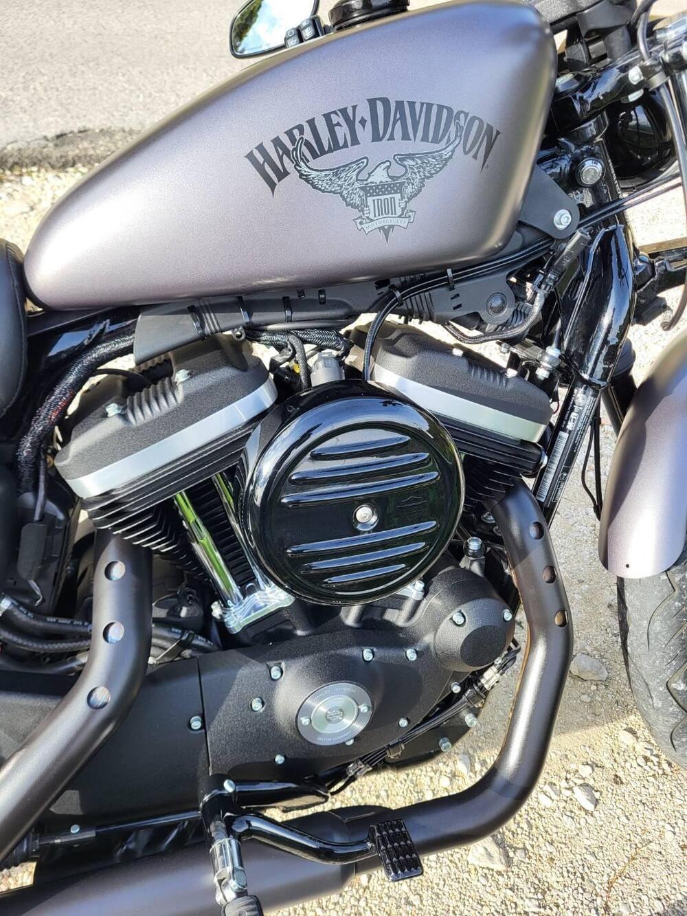 Harley-Davidson 883 Iron (2014 - 16) - XL 883N (6)