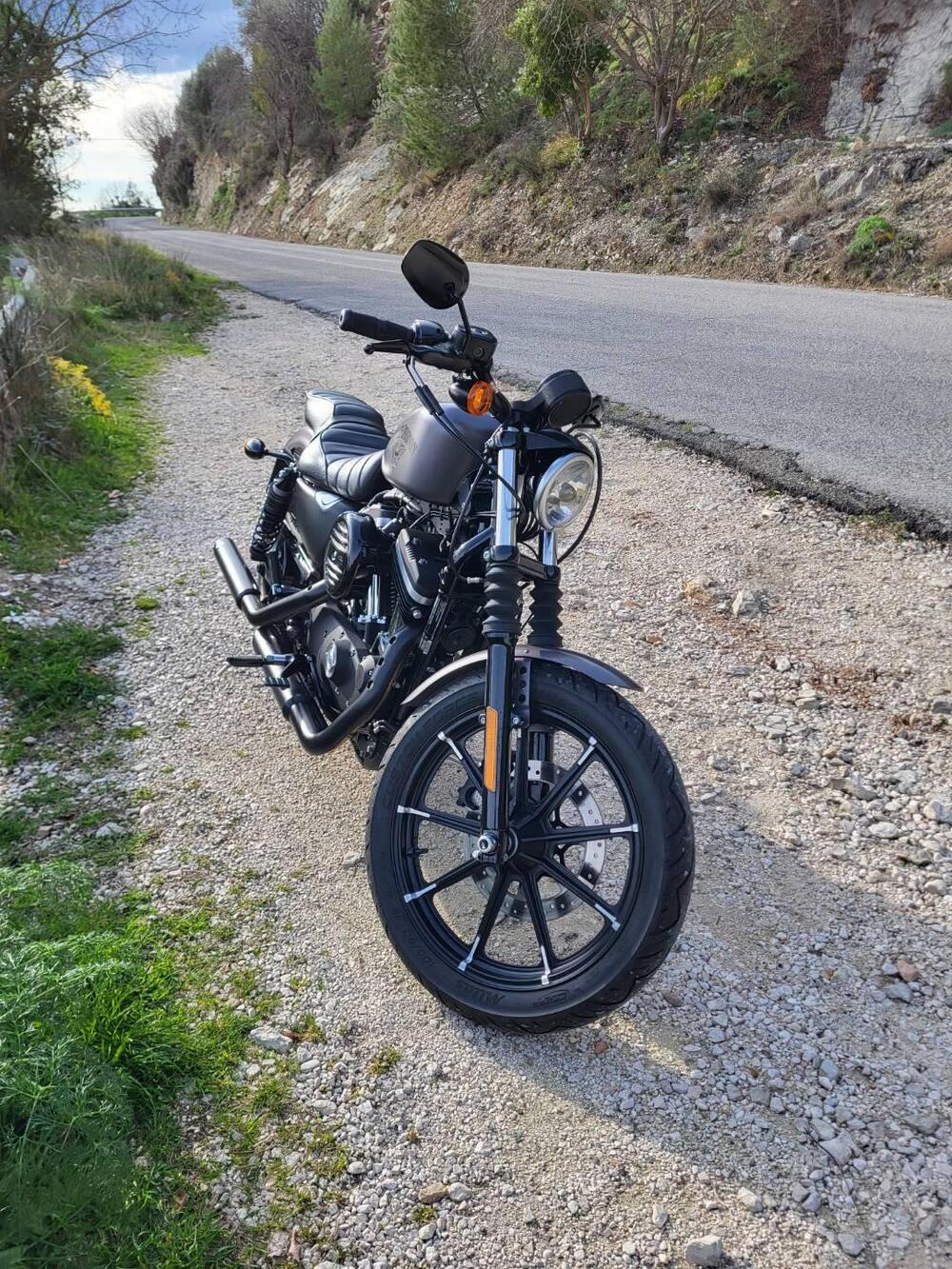 Harley-Davidson 883 Iron (2014 - 16) - XL 883N (7)
