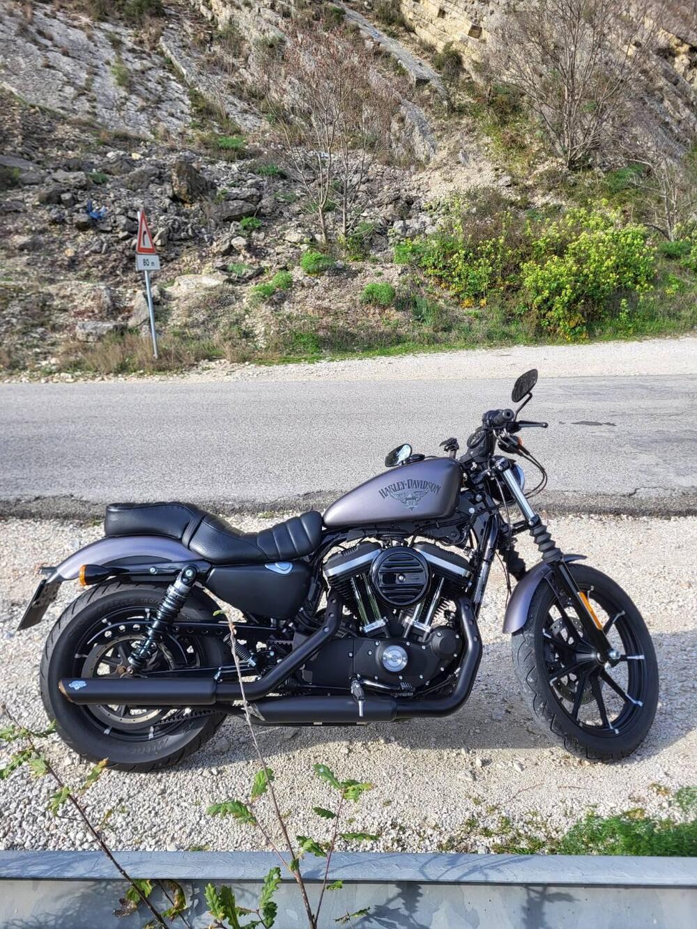 Harley-Davidson 883 Iron (2014 - 16) - XL 883N