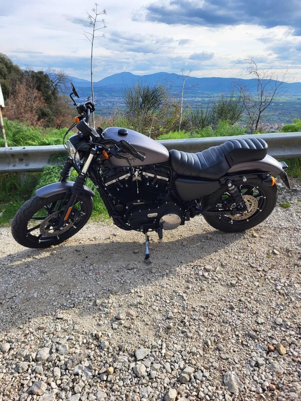 Harley-Davidson 883 Iron (2014 - 16) - XL 883N (10)