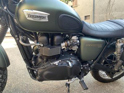 Triumph Scrambler (2006 - 17) usata