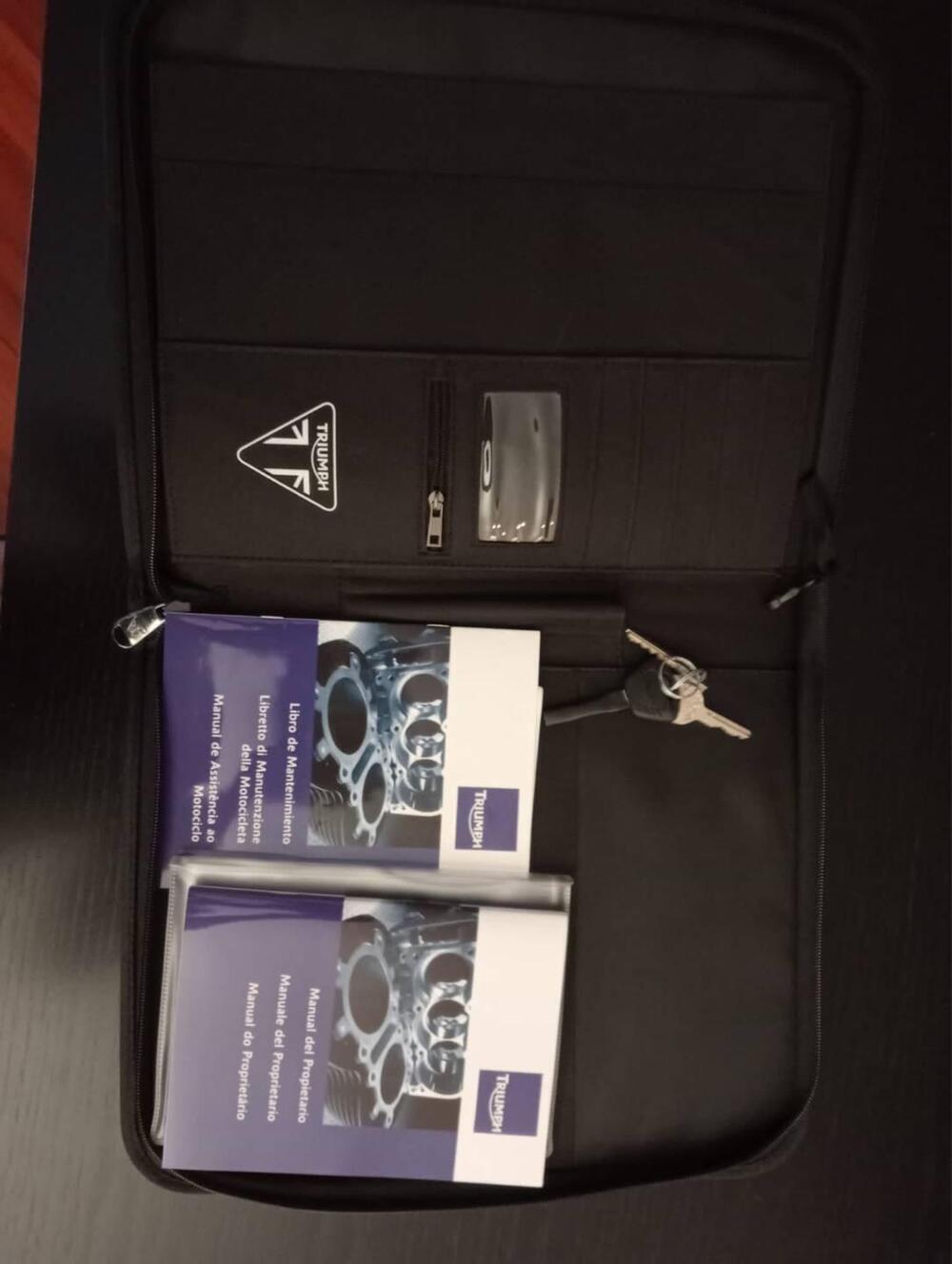 Triumph Scrambler (2006 - 17) (9)