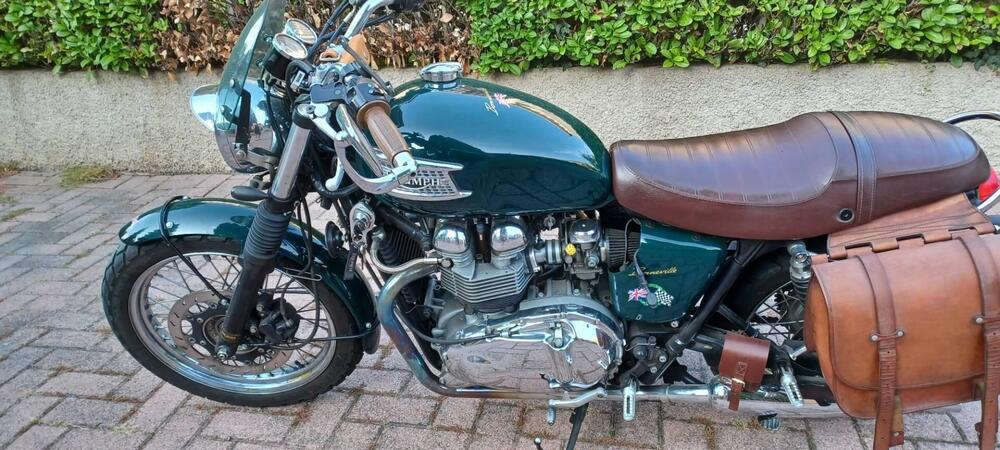 Triumph Bonneville T100 (2001 - 07) (3)