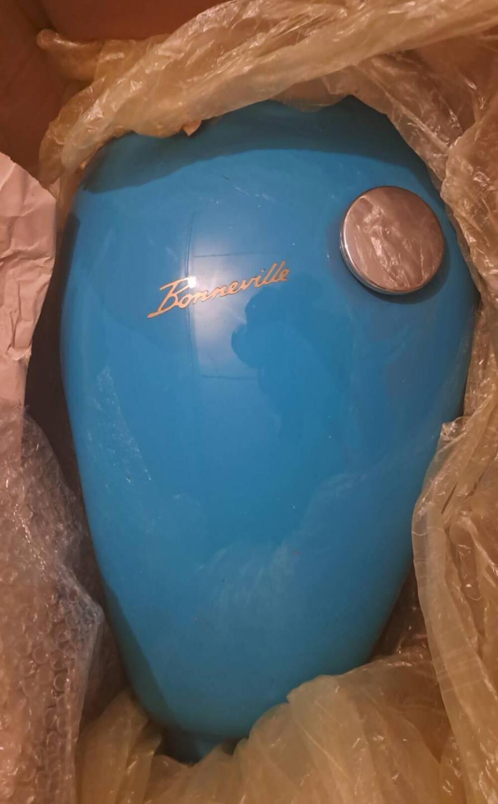 Triumph Bonneville T100 (2001 - 07) (8)