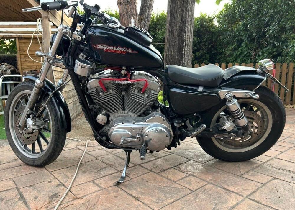 Harley-Davidson 883 Standard (2001 - 05) - XL 883 (2)