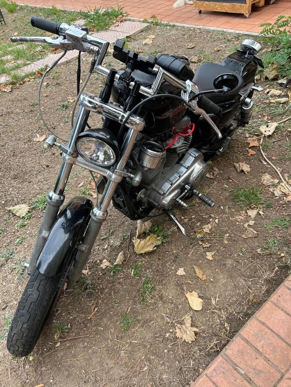 Harley-Davidson 883 Standard (2001 - 05) - XL 883 (4)