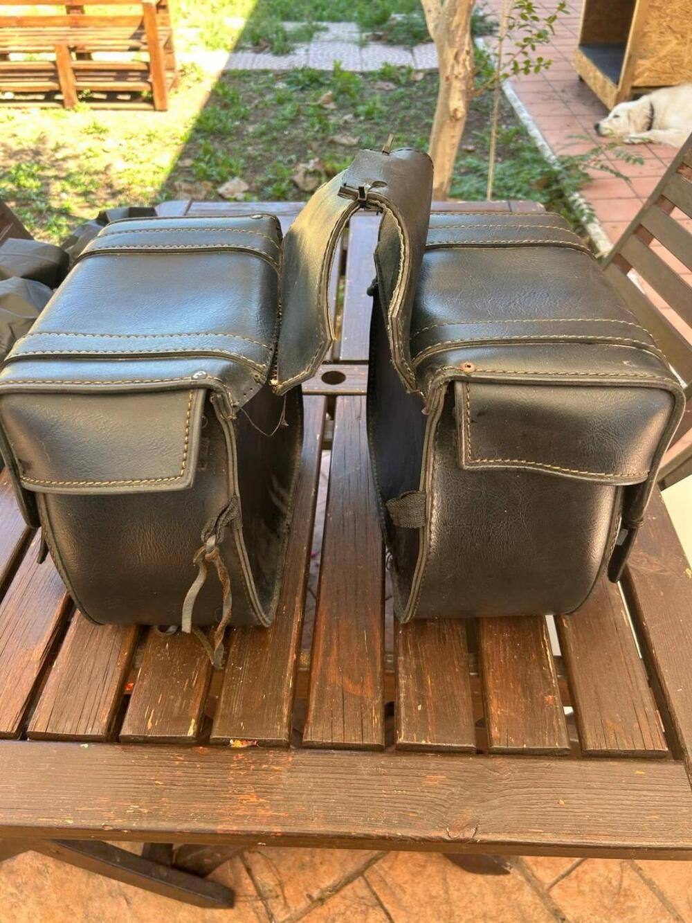 Harley-Davidson 883 Standard (2001 - 05) - XL 883 (5)