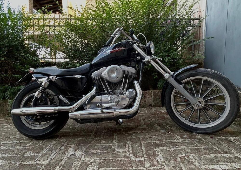 Harley-Davidson 883 Standard (2001 - 05) - XL 883 (6)