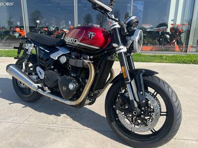 Triumph Speed Twin 1200 (2025 - 26) nuova