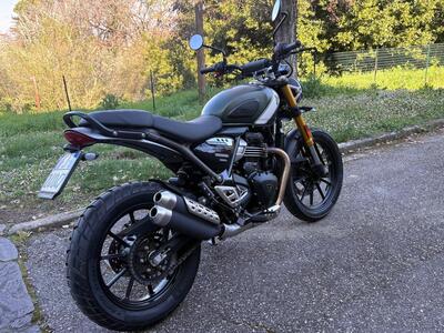 Triumph Scrambler 400 X (2024 - 26) usata