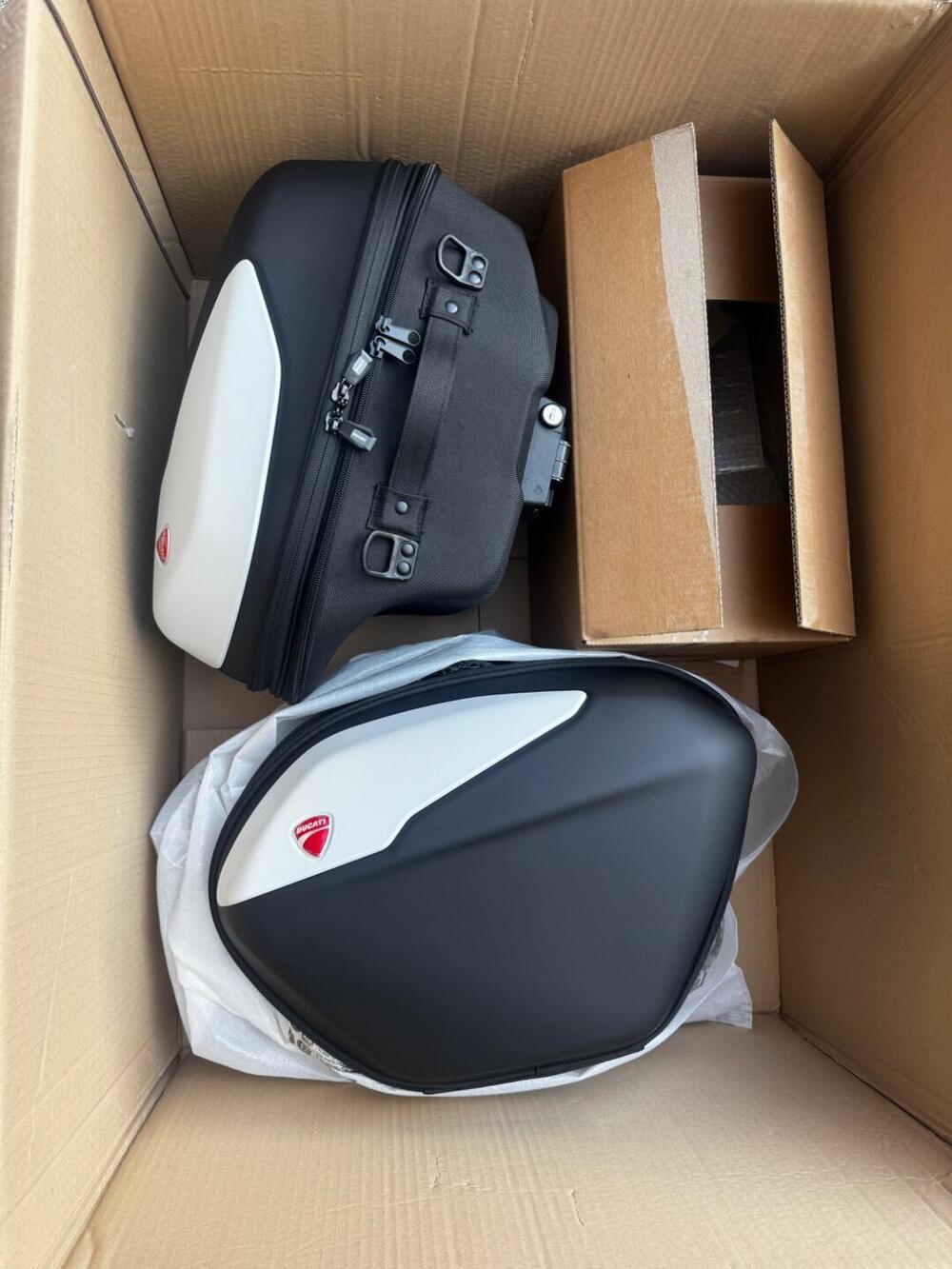 Ducati SuperSport 950 S (2021 - 24) (9)