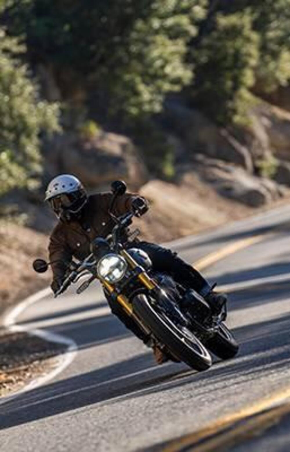 Royal Enfield Bear 650 (2025 - 26) (4)