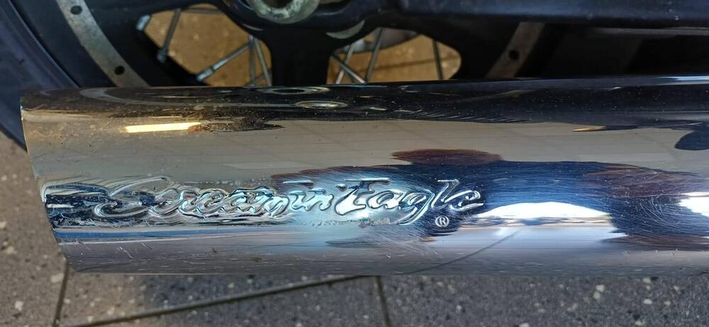 Harley-Davidson XL 1200N Nightster (2008 - 12) (4)