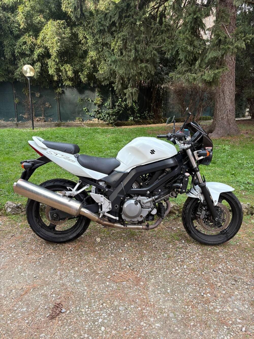 Suzuki SV 650 (2006 - 11) (2)