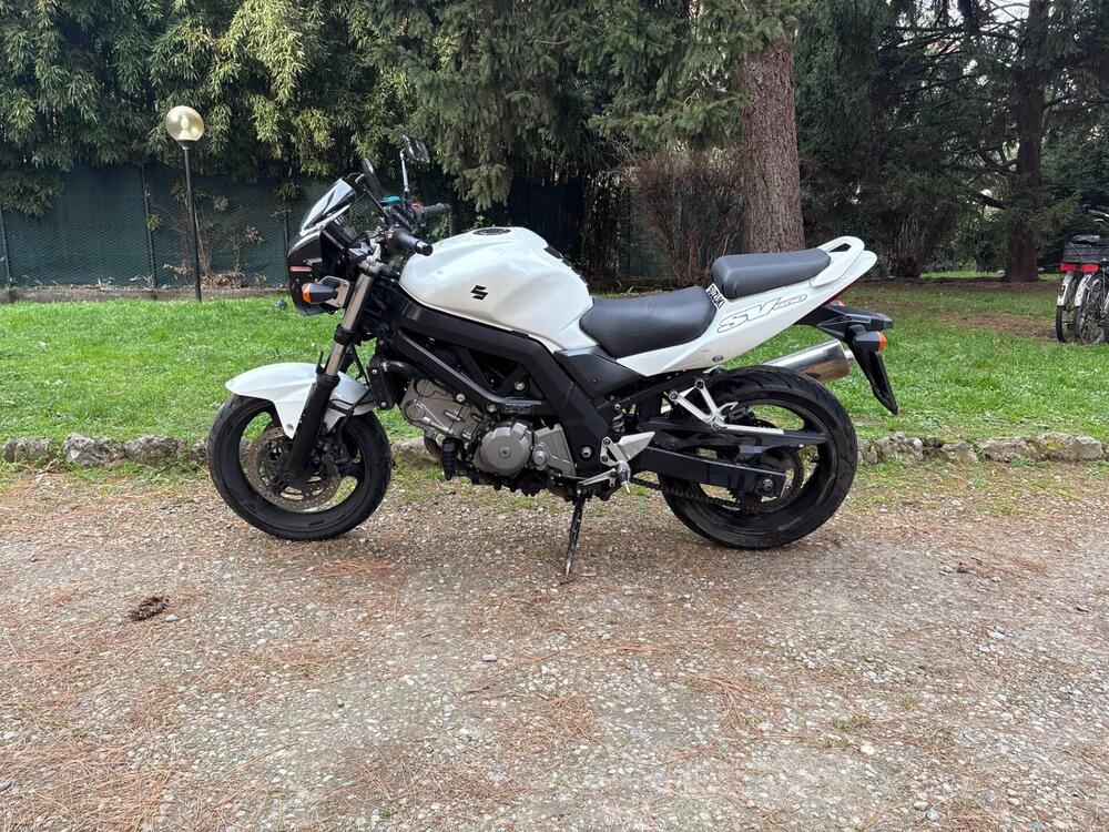 Suzuki SV 650 (2006 - 11) (3)