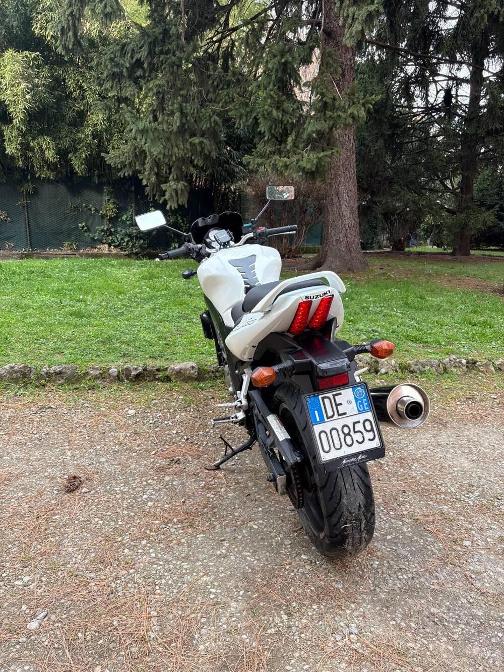 Suzuki SV 650 (2006 - 11) (8)