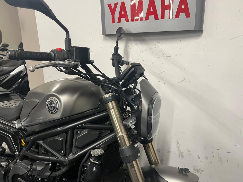 Benelli Leoncino 800 (2022 - 26) (2)