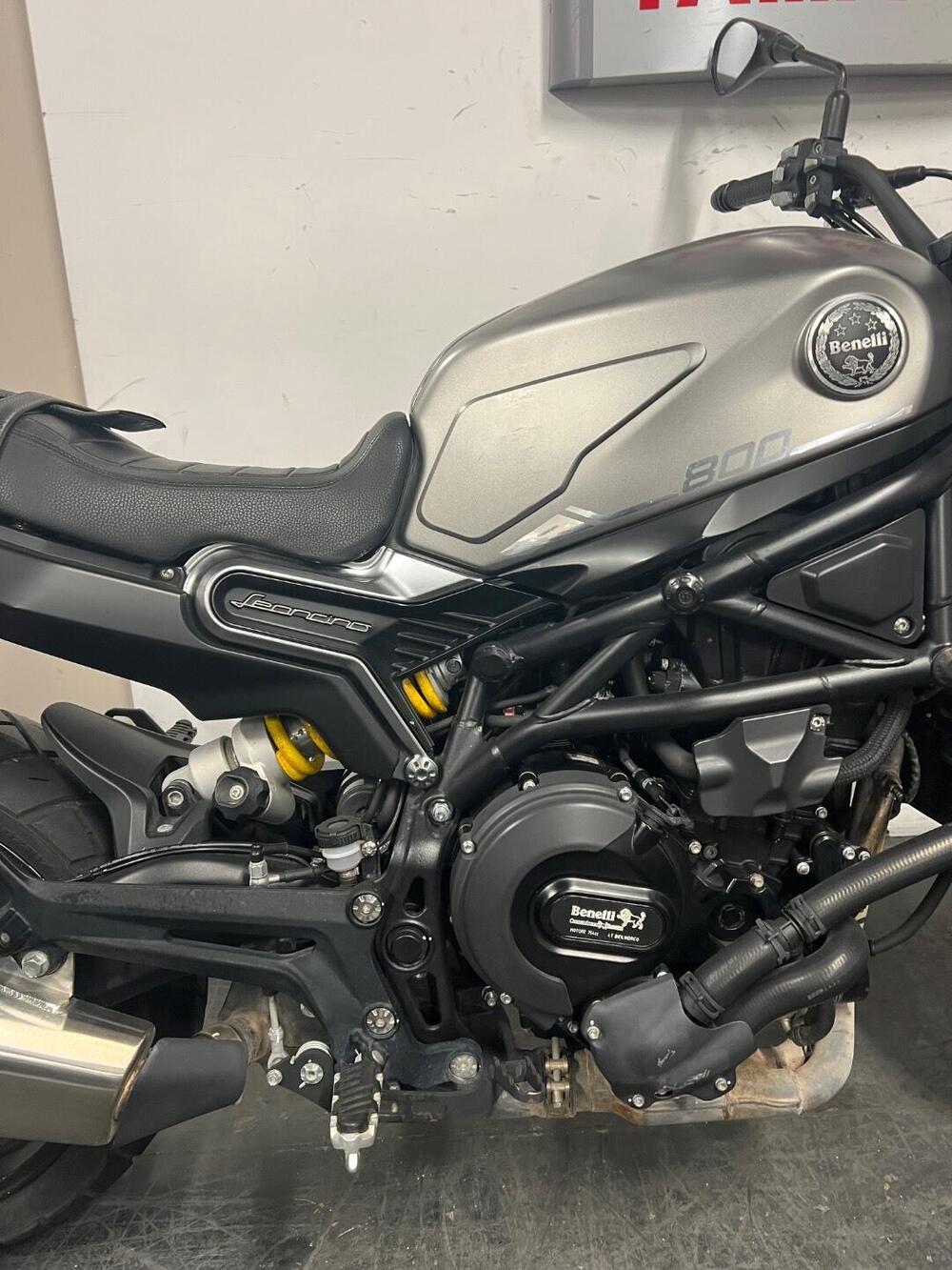 Benelli Leoncino 800 (2022 - 26) (6)