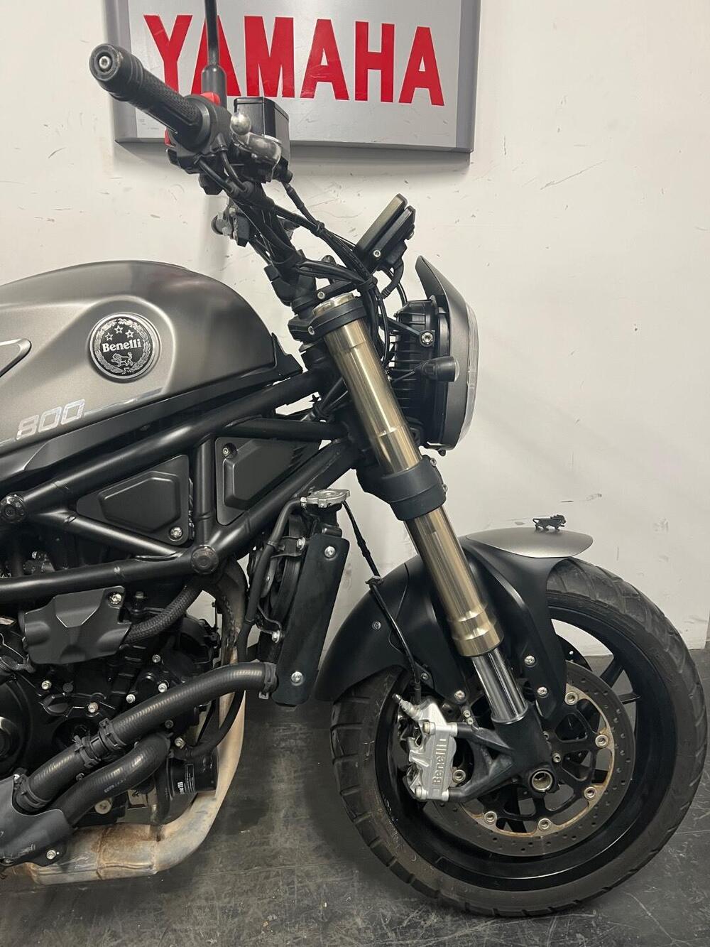 Benelli Leoncino 800 (2022 - 26) (7)