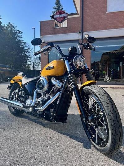 Harley-Davidson Street Bob 117 (2025 - 26) nuova